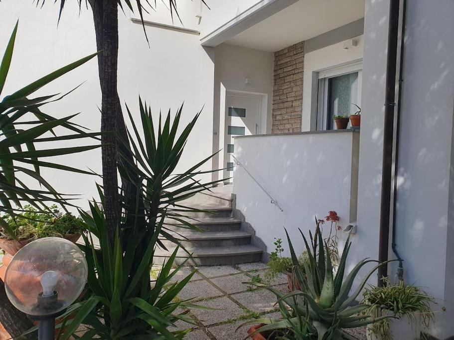 Apartament Lecci Al Mare San Vincenzo Zewnętrze zdjęcie